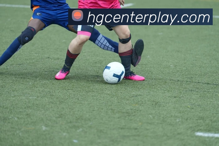 皇冠体育平台生态图