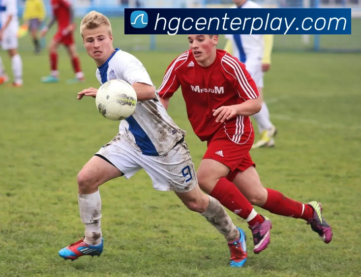 数据防护可视化